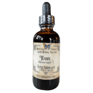 Teasel Liquid Herbal Tincture, 2oz