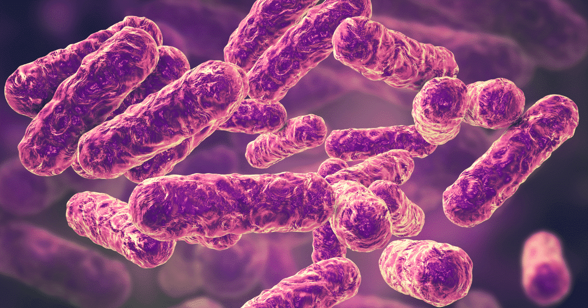 The Ultimate Bartonella Treatment Guide