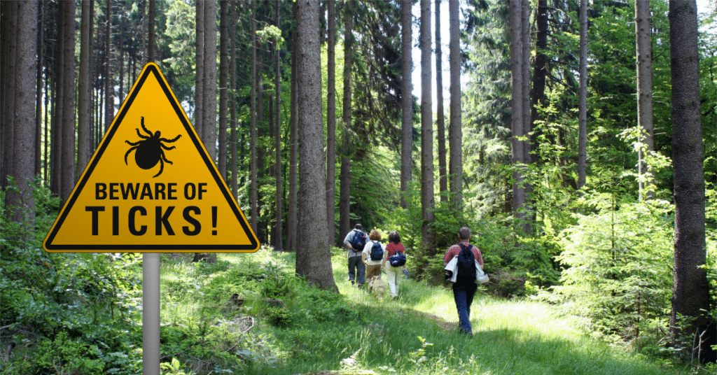 How to Prevent Lyme Disease and Related Tick Borne Infections
