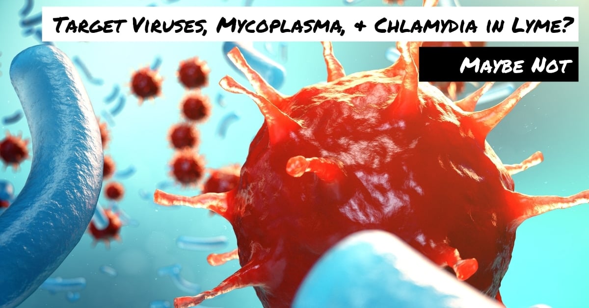 Target Viruses, Mycoplasma, & Chlamydia in Lyme? Maybe Not