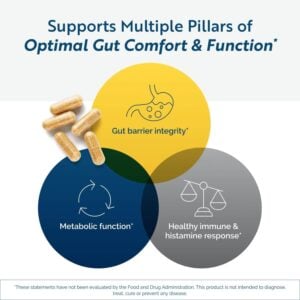 RenewGut Thrive Supports-Pillars-of-Gut-Comfort-and-Function Image