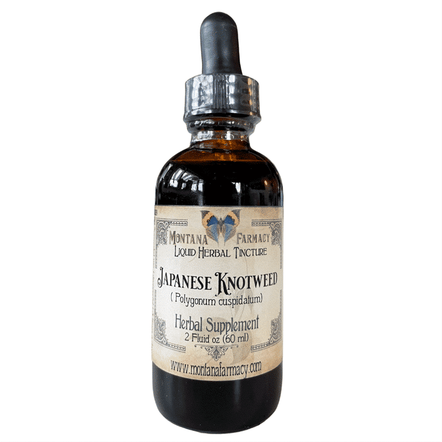 Montana Farmacy Japanese Knotweed Liquid Herbal Tincture, 2 oz bottle